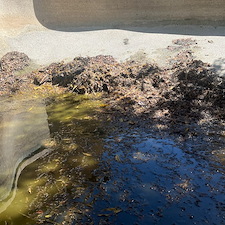 Green-Pool-Cleanup-in-Gilbert-Arizona-1 3
